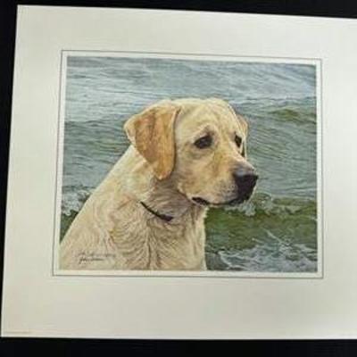 Sale Photo Thumbnail #222