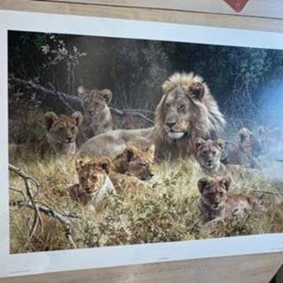 Sale Photo Thumbnail #185