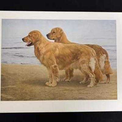 Sale Photo Thumbnail #218