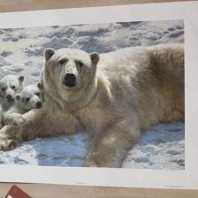 Sale Photo Thumbnail #192
