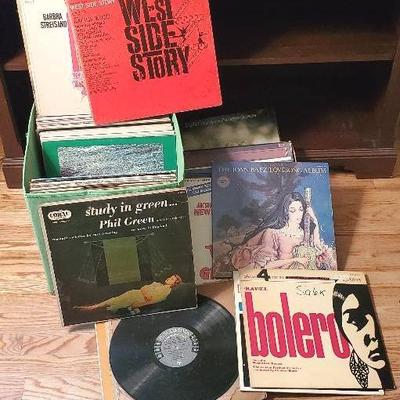 Mystery Lot of Record Albums- All Genres 