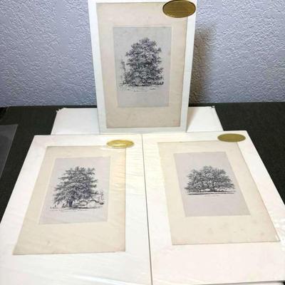 Three jacob george strutt antique etchings