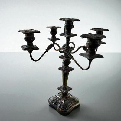 Sale Photo Thumbnail #416