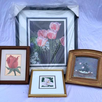 Tulip Flower Pictures