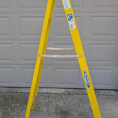 Werner Step Ladder
