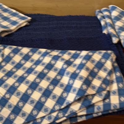 One White Checkered Tablecloth, 20 Checkered Balloons, 6 Blue Placemats, 6 Checkered Placemats 