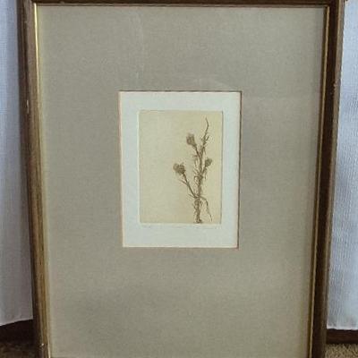 Botanical Charcoal 'September Thistle' Pernnial Art By Howard Lessnick 