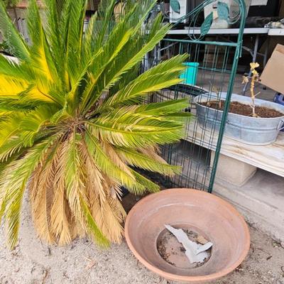 Sale Photo Thumbnail #169