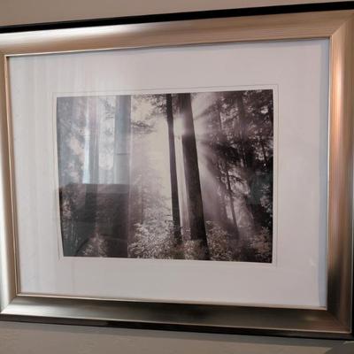 Sale Photo Thumbnail #50