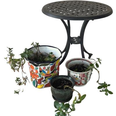Aluminum Patio Table W/Ceramic Pottery Pots & Kalanchoe Plants