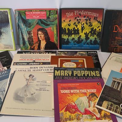 Assorted Classic Vinyl Record Collection