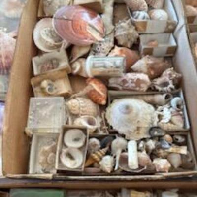 Sale Photo Thumbnail #197