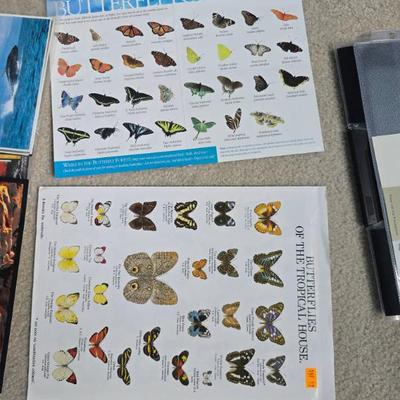 Sale Photo Thumbnail #617