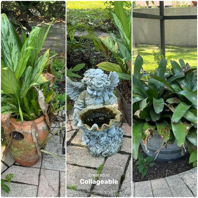 Strawberry Pot And Friends
