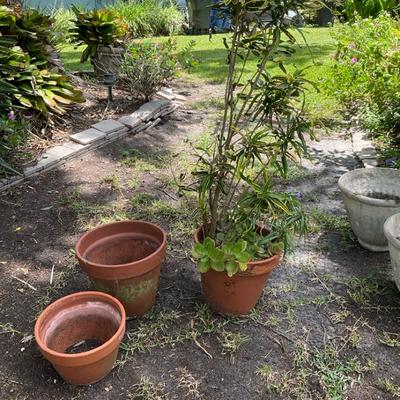 Clay Pots And Trio Ready For A New Home 