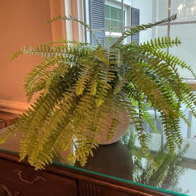 Faux Boston Fern In Terracotta Pot