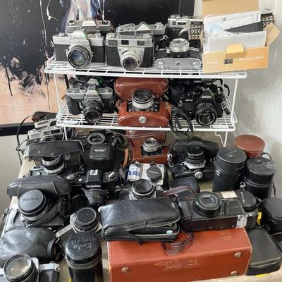 Sale Photo Thumbnail #250
