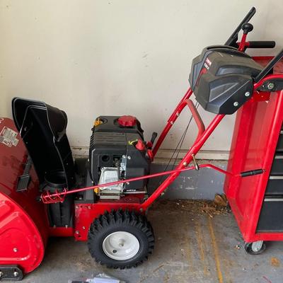 Troy Bilt Snow Thrower