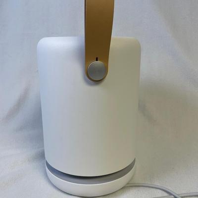 Molekule Air Mini + Air Filter Purifier 