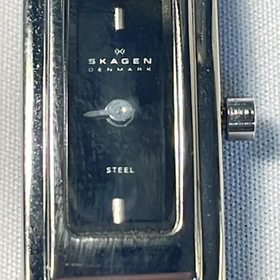 Skagen Slim Face Quartz Water Resistant Watch W/Steel Mesh Band 