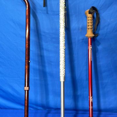 Swissgear Adjustable Hiking Stick (1) + Walking Canes (2)