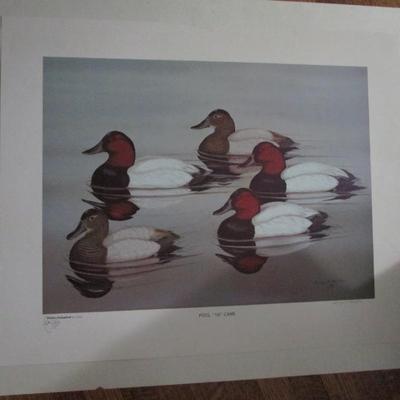 Poster. Ducks Unlimited.
