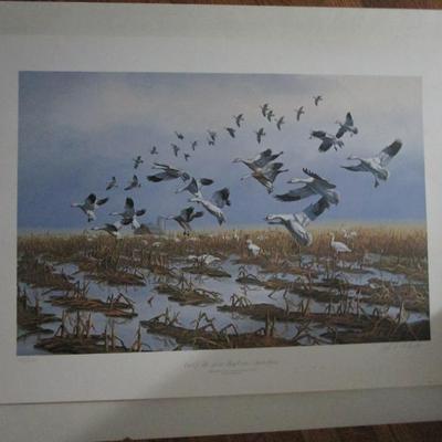 Poster. Ducks Unlimited.