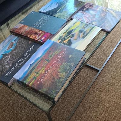 Glass & Metal Coffee Table With Books & Glass Vase Of Shells