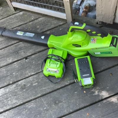 Greenworks Variable Speed Leaf Blower
