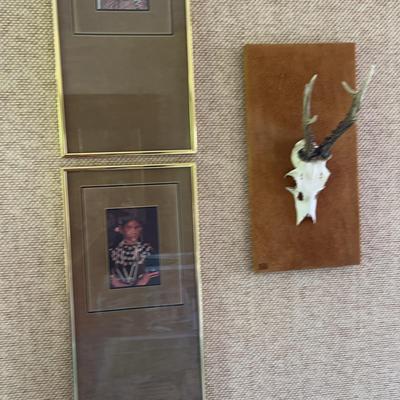 Mounted Skull & Native American Art