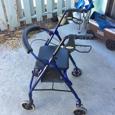 Drive Walker 