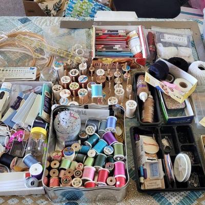 Large Sewing Lot