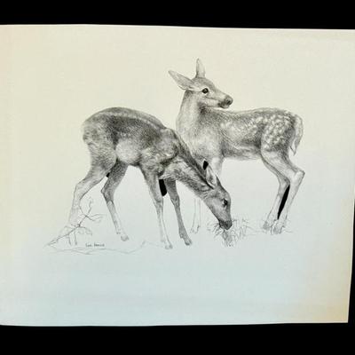 Sale Photo Thumbnail #3