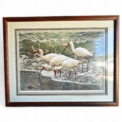 Framed Signed Lithograph 'Shoreline Quartet' by Carl Brenders