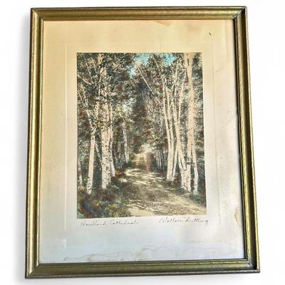 Wallace Nutting A Woodland Cathedral Hand-Tinted Photo
