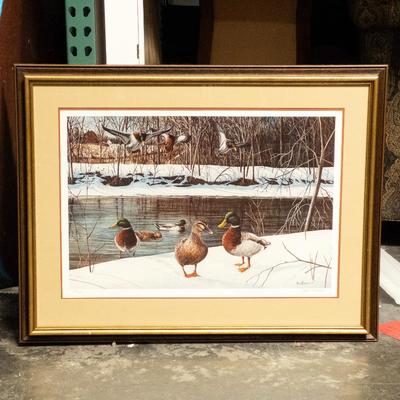 Kevin Daniel River's Edge - Mallards Limited Edition Giclée Print