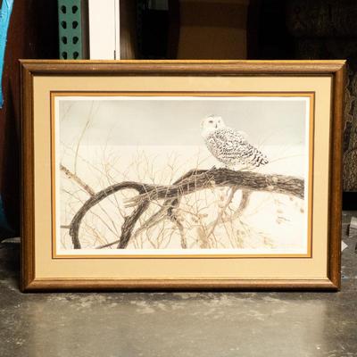 Robert Bateman Fallen Willow - Snowy Owl Limited Edition Print, 1968