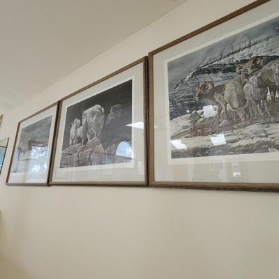 Sale Photo Thumbnail #129
