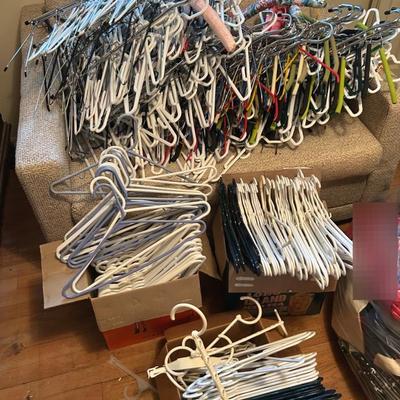 Hangers, Hangers, Hangers Mystery Lot
