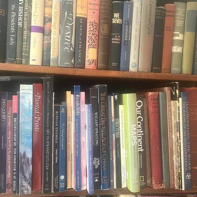 Multiple Shelves Of Books 