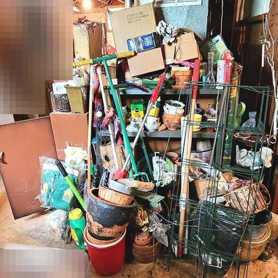 Huge Mystery Lawn And Gardening Lot!