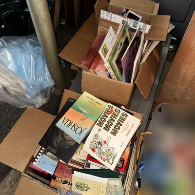 Assorted Books Mystery
