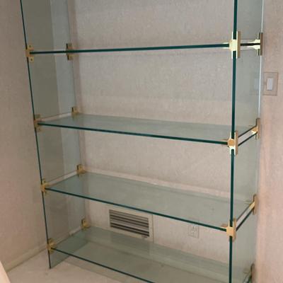 Glass Book Shelf