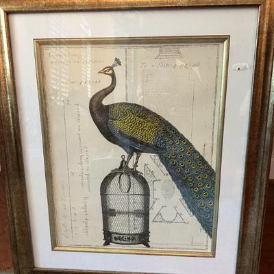Peacock Print with Pretty Gold Tone Frame
