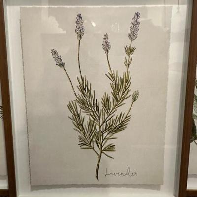 Botanical Print Set (Print 3 of 4)