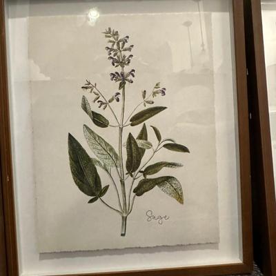 Botanical Print Set (Print 2 of 4)