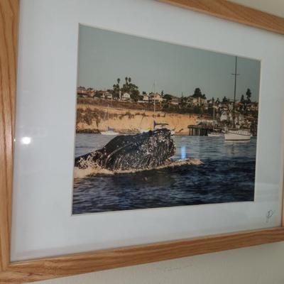 Sale Photo Thumbnail #184