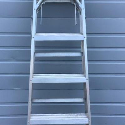 Werner 6' Ladder