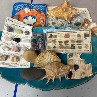 Rock Collections And Shells In Art Pottery Tray 