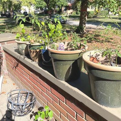 Five Pottery Planter Pots